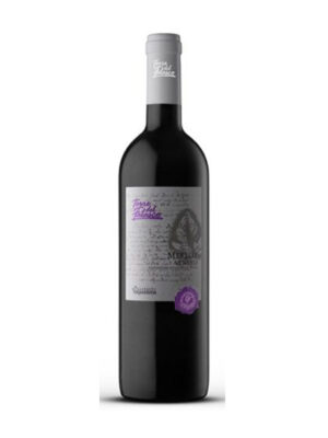 Merlot Veneto IGT Torre Del Falasco - Cantina Valpantena